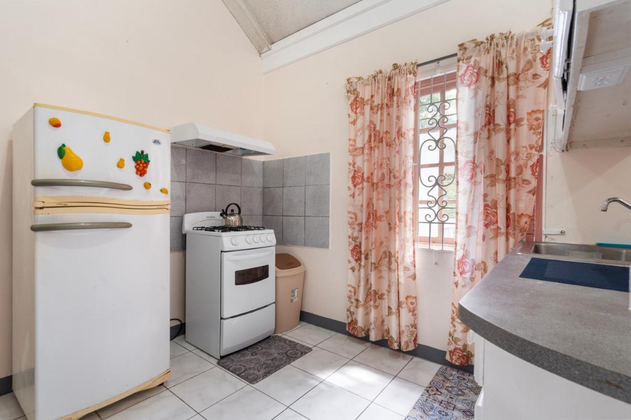 Shaw Park Gem Apt 12D Очо-Ріос Екстер'єр фото
